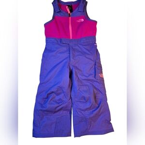 The North Face Fuchsia and Violet Snowsuit